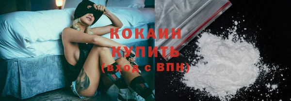 гашик Козловка