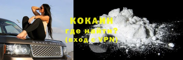 индика Костерёво