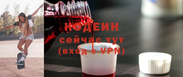 гашик Козловка