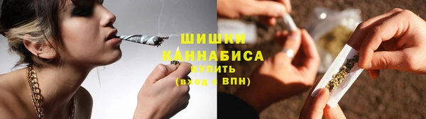 стаф Козельск