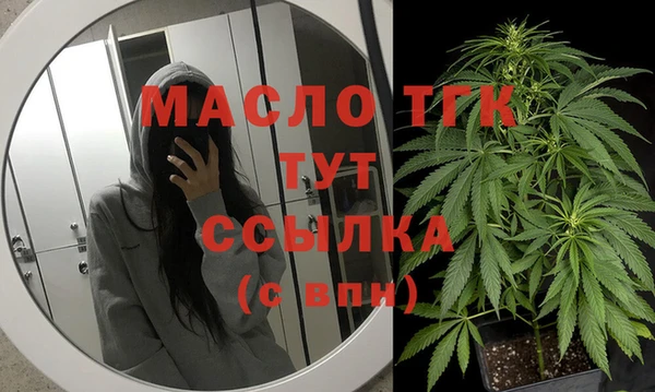 стаф Козельск