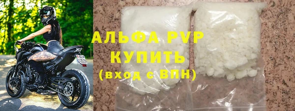 гашик Козловка