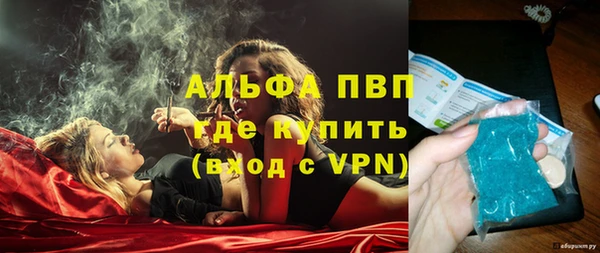 стаф Козельск