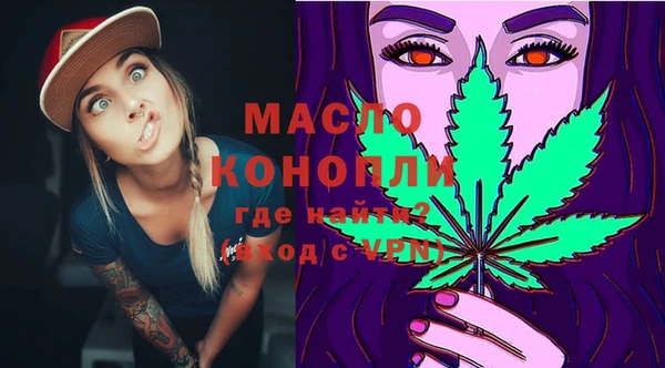гашик Козловка