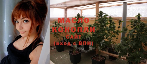индика Костерёво
