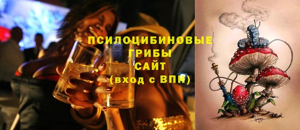 стаф Козельск