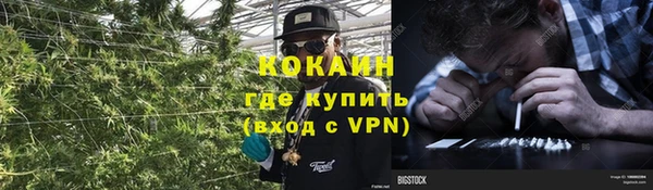 гашик Козловка