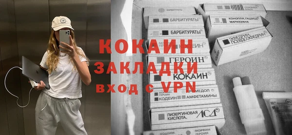 стаф Козельск