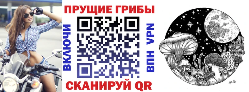 Псилоцибиновые грибы GOLDEN TEACHER  где можно купить   shop телеграм  Кировск 