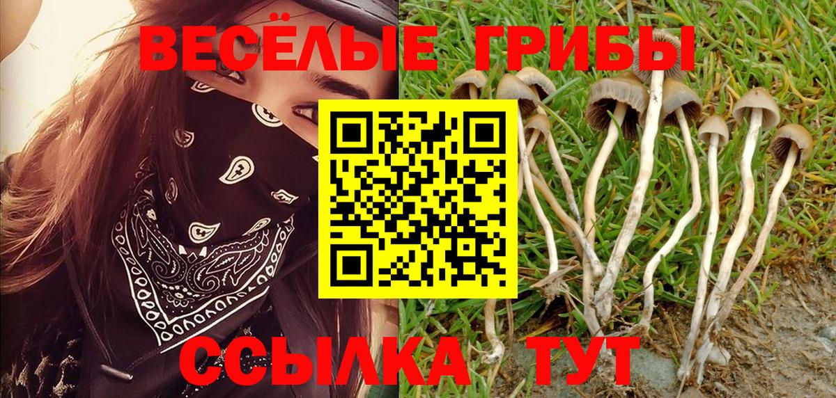 Кировск  Галлюциногенные грибы GOLDEN TEACHER  Псилоцибиновые грибы ЛСД  Вход с VPN 